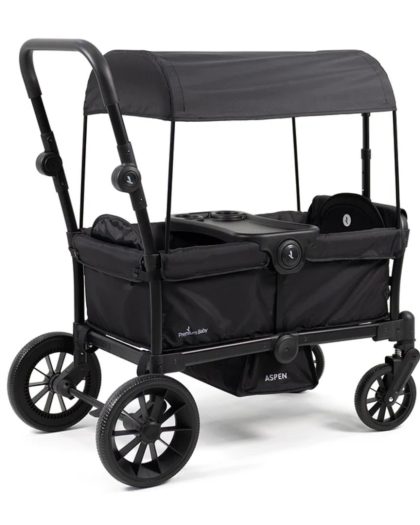 Carrito Premium Baby Wagon Aspen c/ Capot